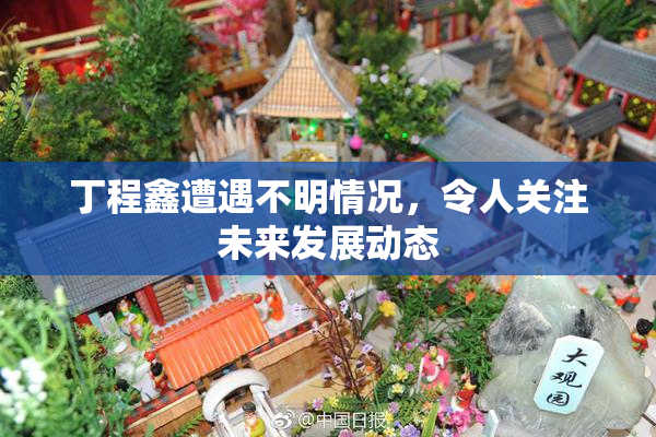 丁程鑫遭遇不明情况，令人关注未来发展动态