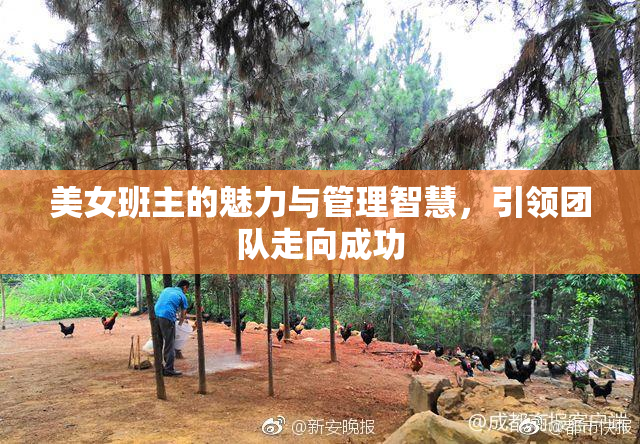 美女班主的魅力与管理智慧，引领团队走向成功