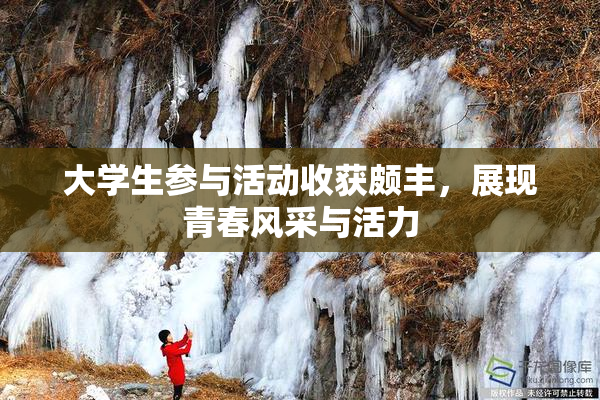 大学生参与活动收获颇丰，展现青春风采与活力