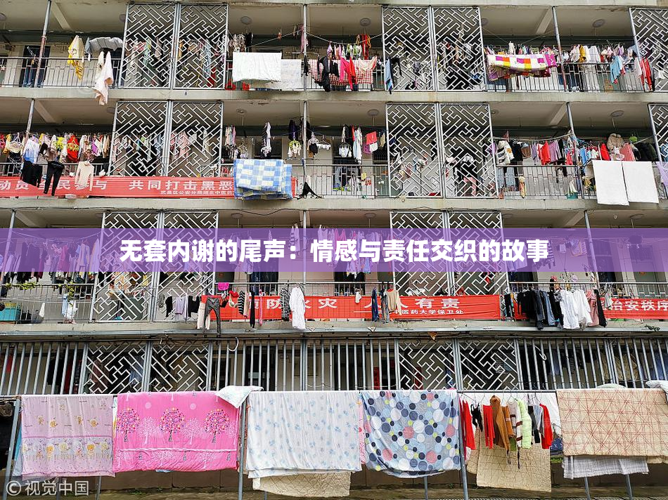无套内谢的尾声：情感与责任交织的故事