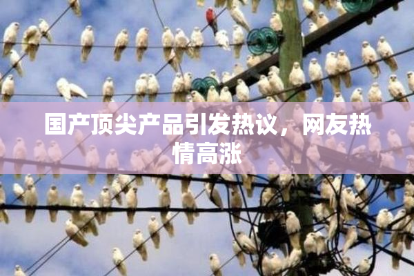 国产顶尖产品引发热议，网友热情高涨