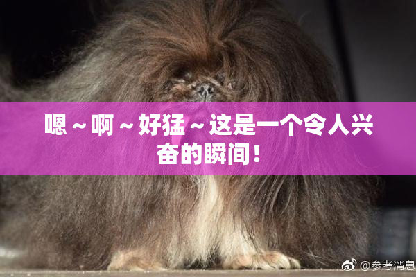 嗯～啊～好猛～这是一个令人兴奋的瞬间！