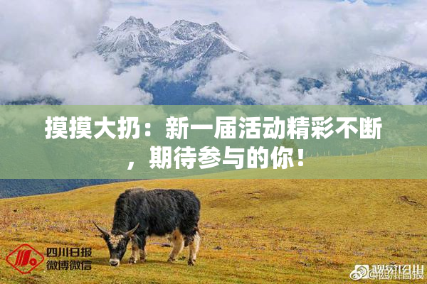 摸摸大扔：新一届活动精彩不断，期待参与的你！