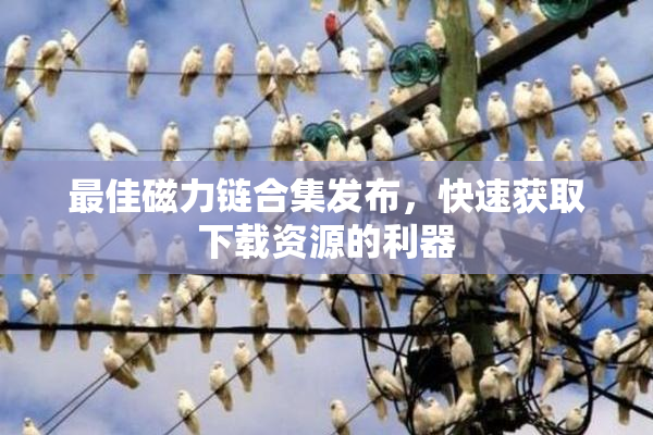 最佳磁力链合集发布，快速获取下载资源的利器