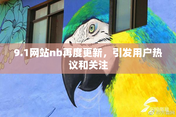 9.1网站nb再度更新，引发用户热议和关注
