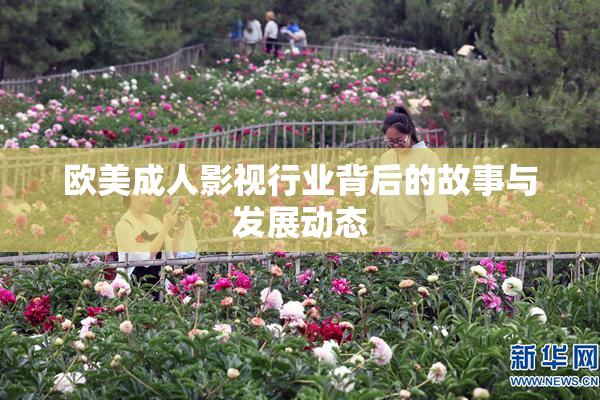 欧美成人影视行业背后的故事与发展动态
