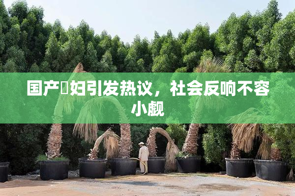 国产婬妇引发热议，社会反响不容小觑