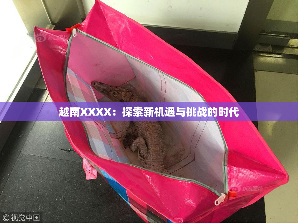 越南XXXX：探索新机遇与挑战的时代