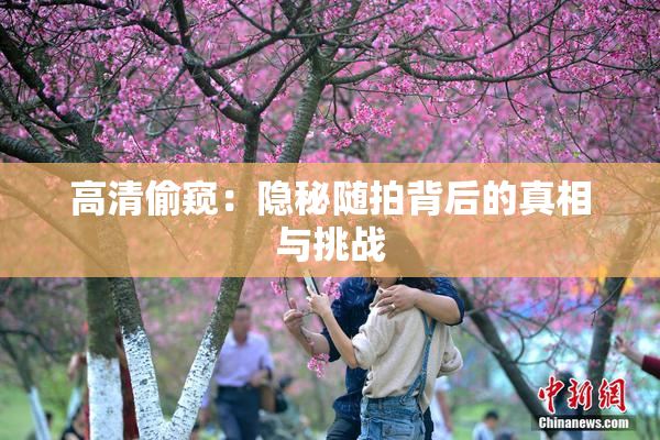 高清偷窥：隐秘随拍背后的真相与挑战
