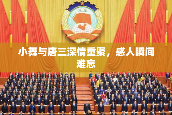小舞与唐三深情重聚，感人瞬间难忘