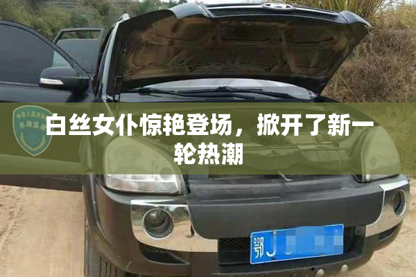 白丝女仆惊艳登场，掀开了新一轮热潮