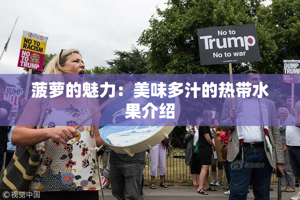 菠萝的魅力：美味多汁的热带水果介绍