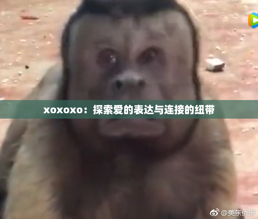 xoxoxo：探索爱的表达与连接的纽带