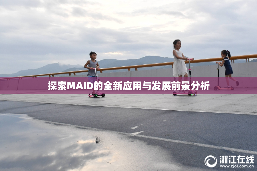 探索MAID的全新应用与发展前景分析