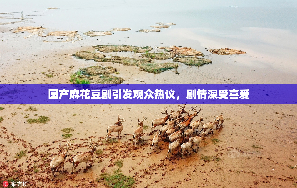 国产麻花豆剧引发观众热议，剧情深受喜爱