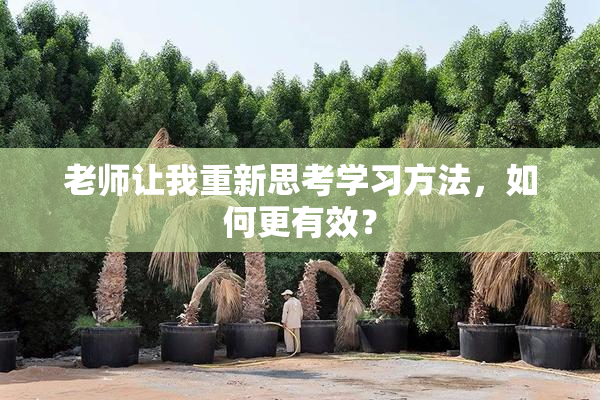 老师让我重新思考学习方法，如何更有效？