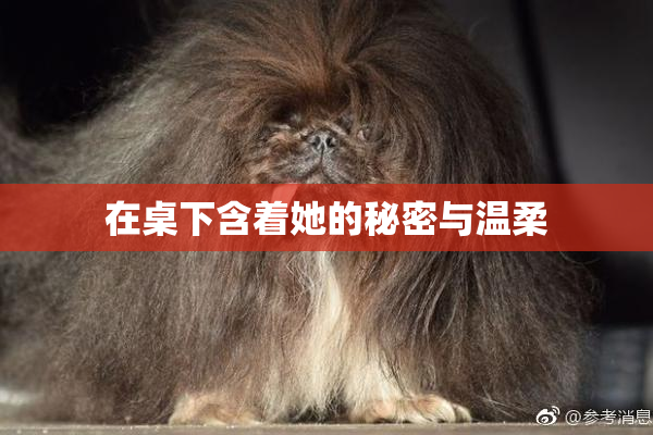 在桌下含着她的秘密与温柔
