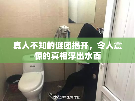 真人不知的谜团揭开，令人震惊的真相浮出水面