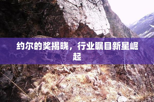 约尔的奖揭晓，行业瞩目新星崛起