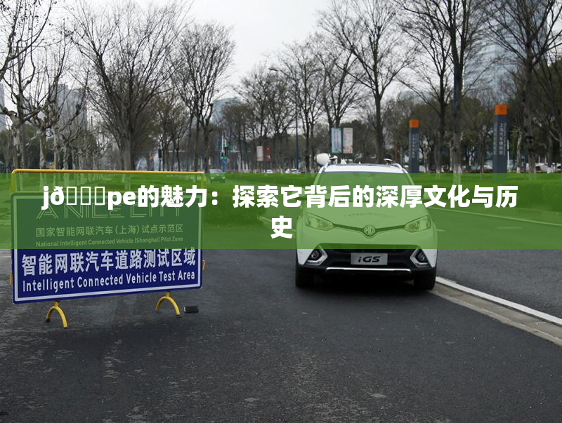 j🈚pe的魅力：探索它背后的深厚文化与历史
