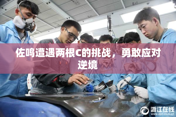 佐鸣遭遇两根C的挑战，勇敢应对逆境