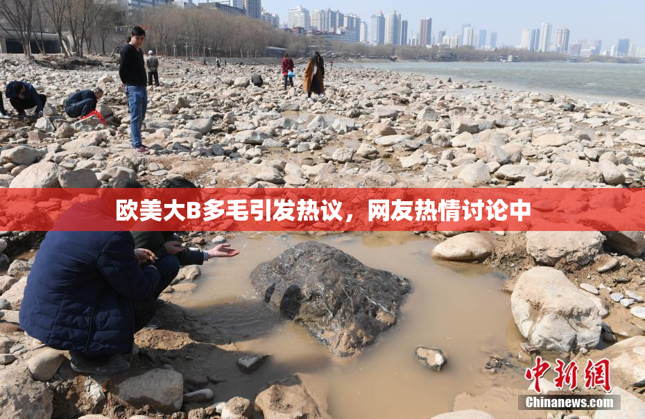 欧美大B多毛引发热议，网友热情讨论中