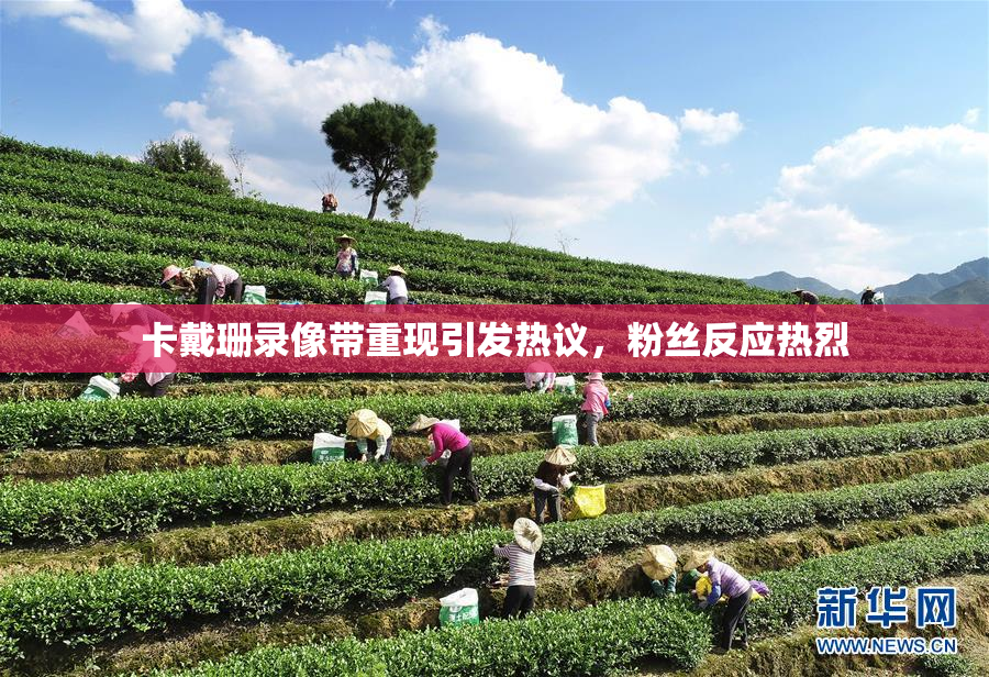 卡戴珊录像带重现引发热议，粉丝反应热烈