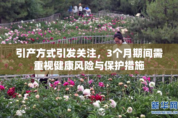 引产方式引发关注，3个月期间需重视健康风险与保护措施