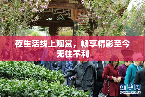 夜生活线上观赏，畅享精彩至今无往不利