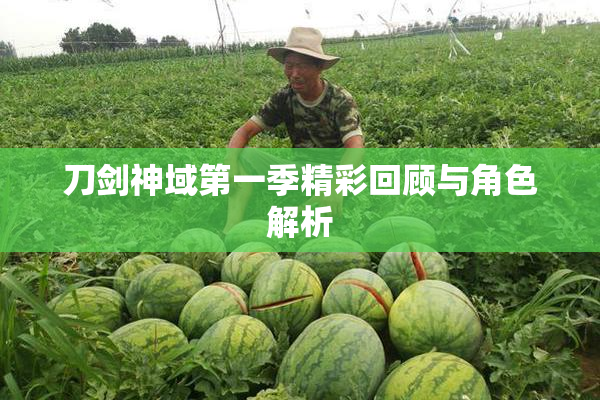 刀剑神域第一季精彩回顾与角色解析