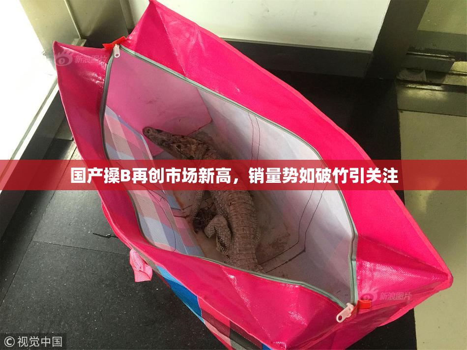 国产搡B再创市场新高，销量势如破竹引关注