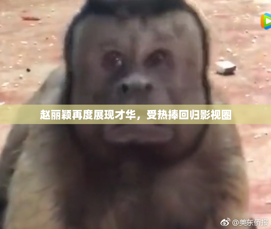 赵丽颖再度展现才华，受热捧回归影视圈
