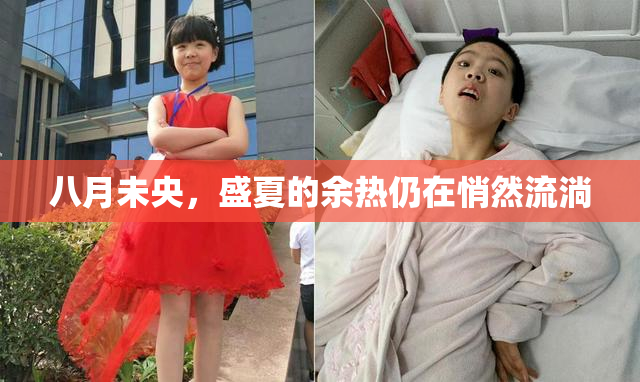 八月未央，盛夏的余热仍在悄然流淌