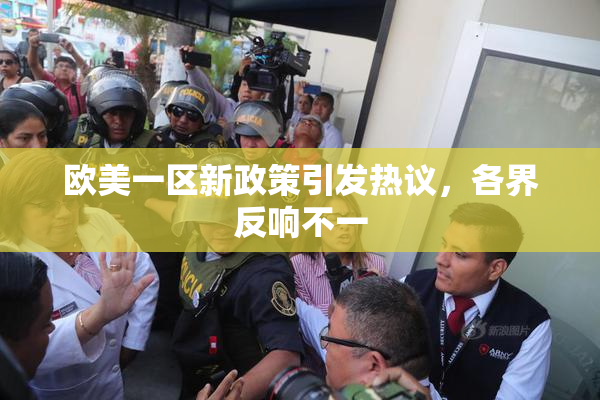 欧美一区新政策引发热议，各界反响不一