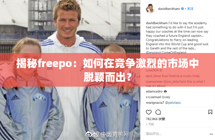 揭秘freepo：如何在竞争激烈的市场中脱颖而出？