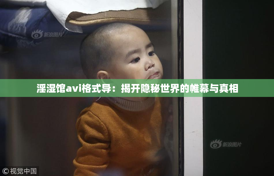 淫湿馆avi格式导：揭开隐秘世界的帷幕与真相