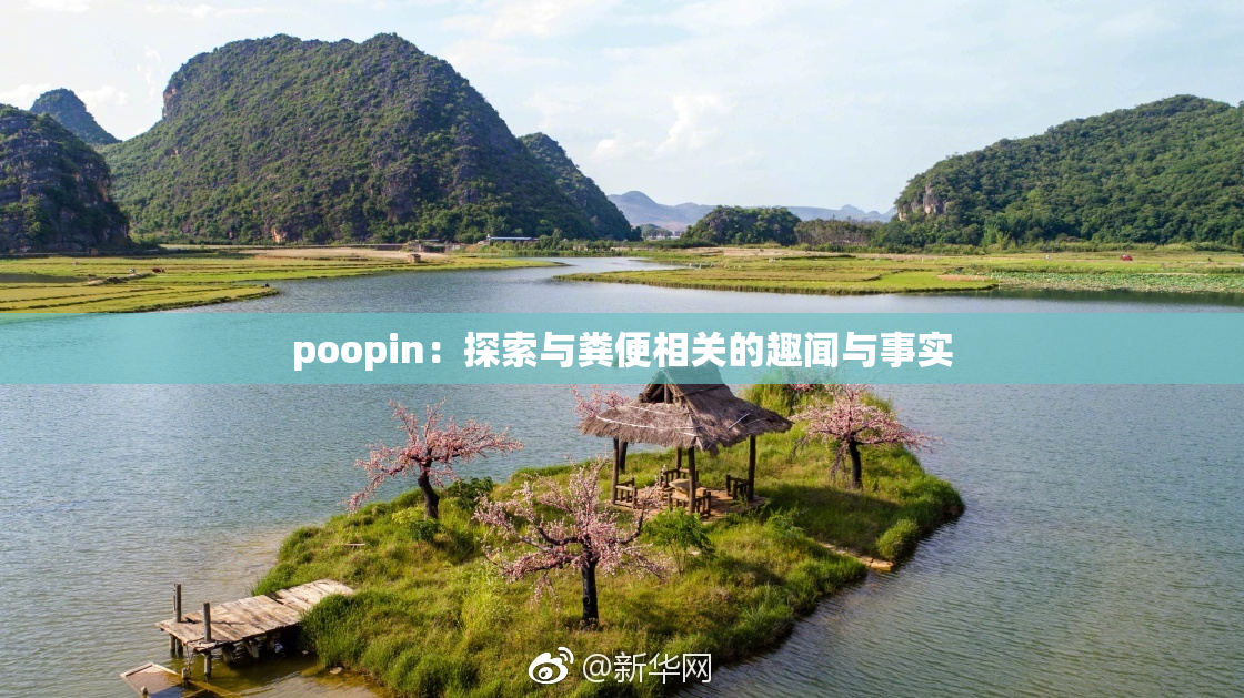 poopin：探索与粪便相关的趣闻与事实