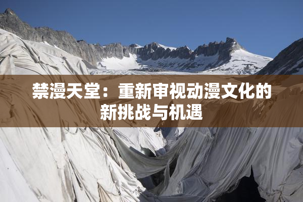 禁漫天堂：重新审视动漫文化的新挑战与机遇