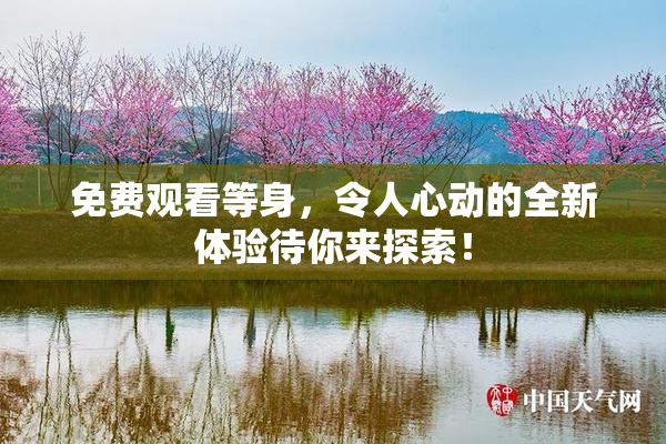 免费观看等身，令人心动的全新体验待你来探索！
