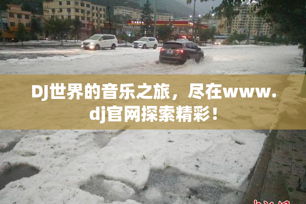 DJ世界的音乐之旅，尽在www.dj官网探索精彩！