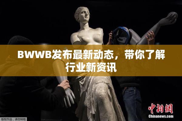 BWWB发布最新动态，带你了解行业新资讯