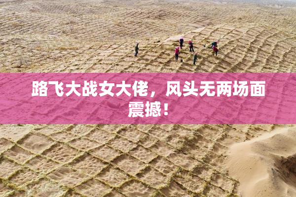 路飞大战女大佬，风头无两场面震撼！