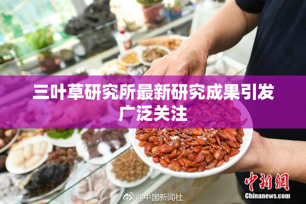 三叶草研究所最新研究成果引发广泛关注
