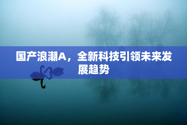 国产浪潮A，全新科技引领未来发展趋势