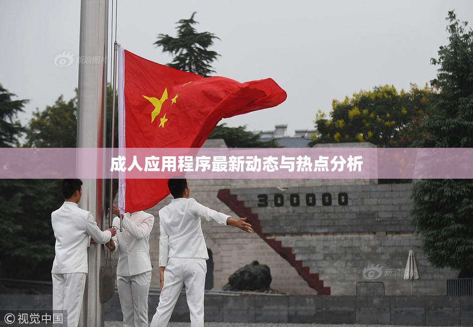 成人应用程序最新动态与热点分析