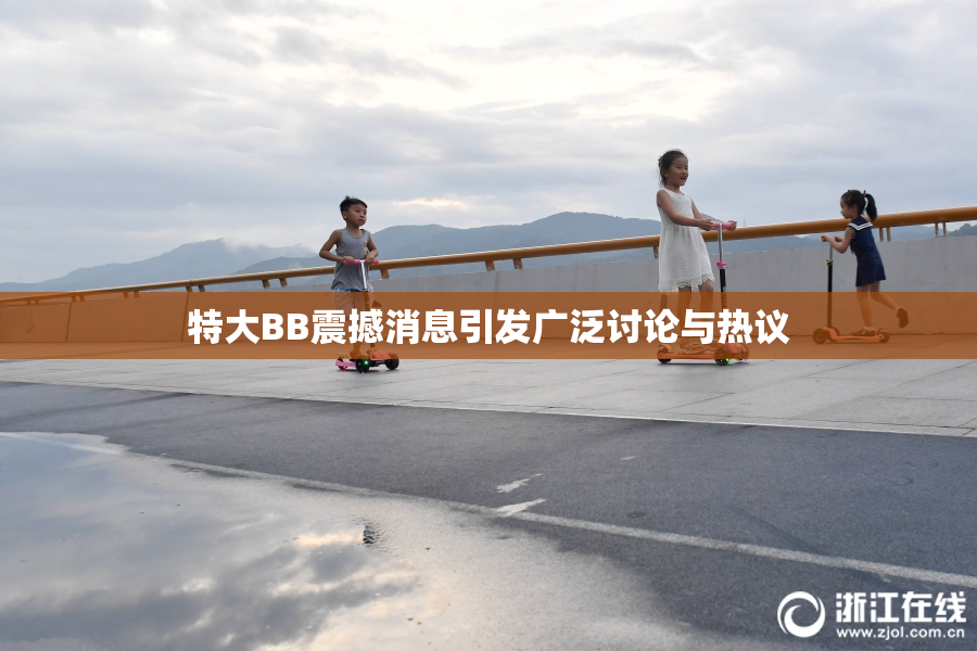 特大BB震撼消息引发广泛讨论与热议