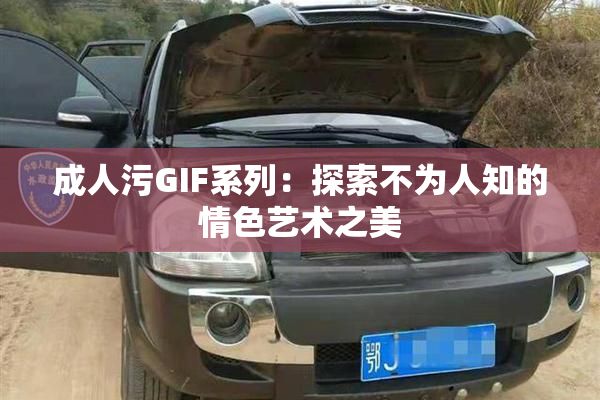 成人污GIF系列：探索不为人知的情色艺术之美