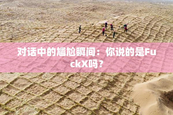 对话中的尴尬瞬间：你说的是FuckX吗？