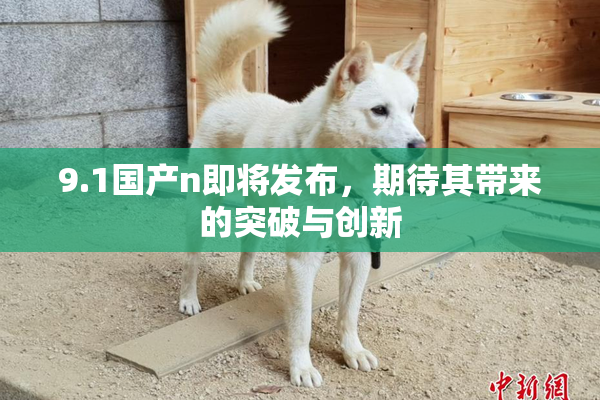 9.1国产n即将发布，期待其带来的突破与创新