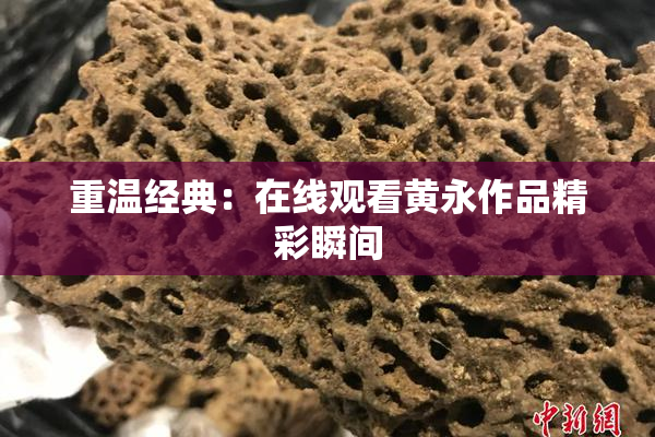 重温经典：在线观看黄永作品精彩瞬间
